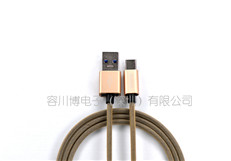 Type-c & USB3.1  1代魚網(wǎng)編織金屬殼土豪金